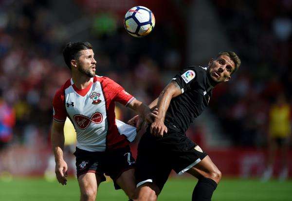  دانيال كاريكو