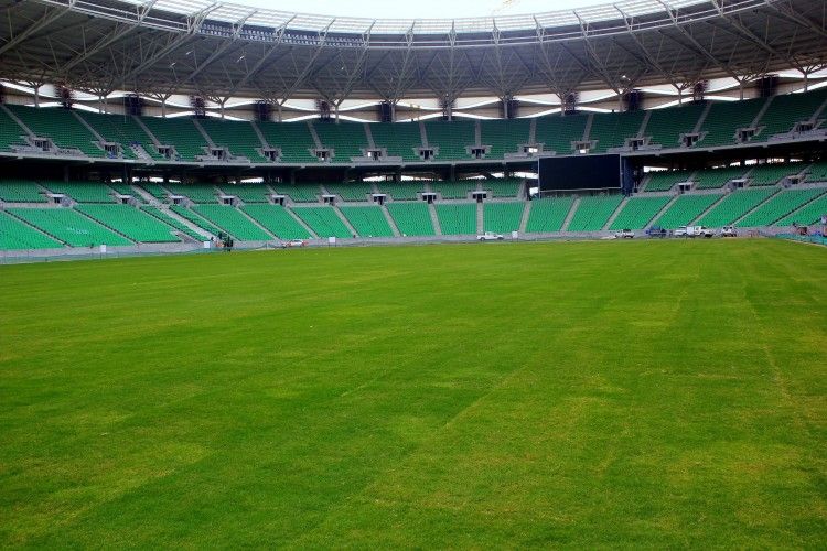 ملعب جذع النخلة 