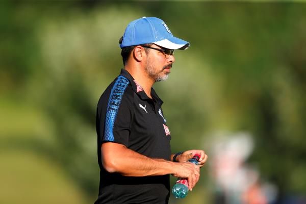 ديفيد فاجنر