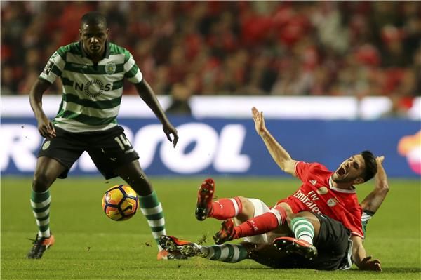 مارفين زيغلار