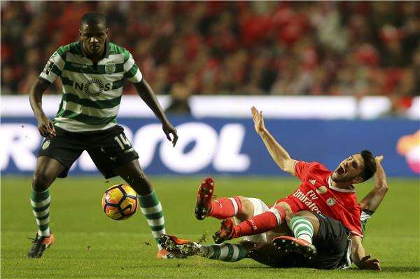 مارفين زيغلار