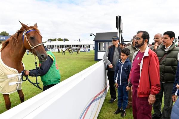 محمد بن راشد