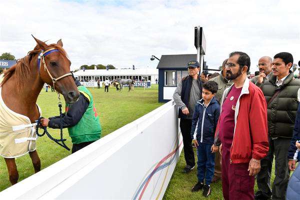 محمد بن راشد