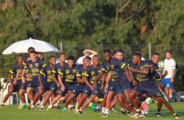 2017-08-29t210318z_1096592223_rc1698a9aa80_rtrmadp_3_soccer-worldcup-bra-ecu-preview_reuters