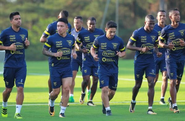 لاعبو الإكوادور 