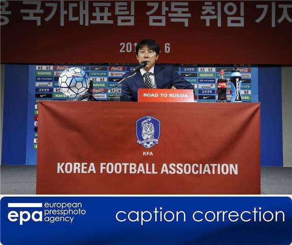 شين تاي يونج