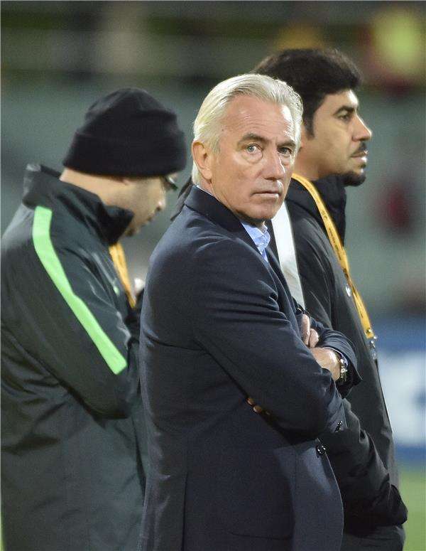 بيرت فان مارفيك	