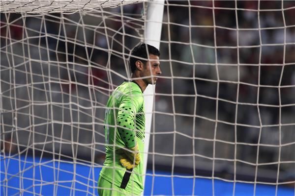 محمد الشناوي