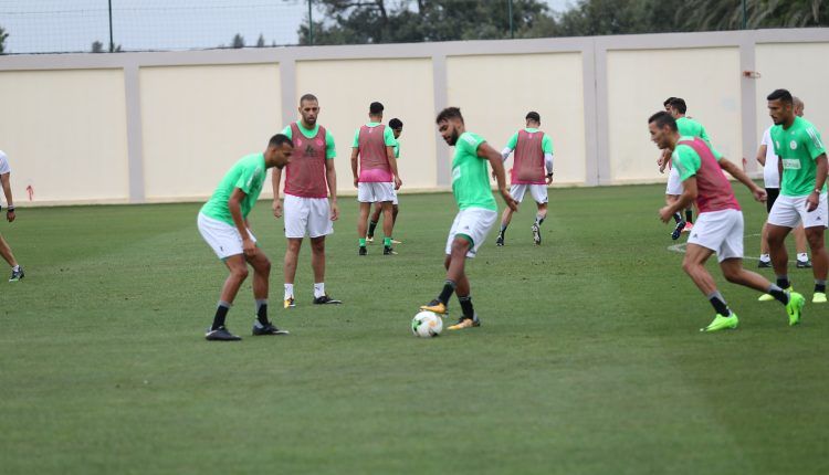 المنتخب الجزائري