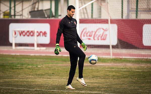 محمد الشناوي