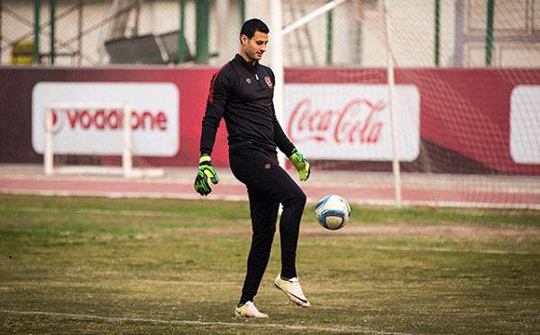 محمد الشناوي