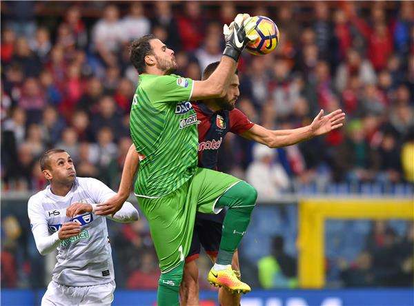 أوريستيس كارنيزيس 