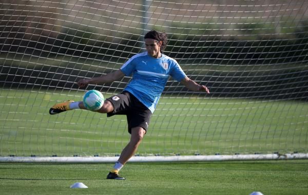 إدينسون كافاني