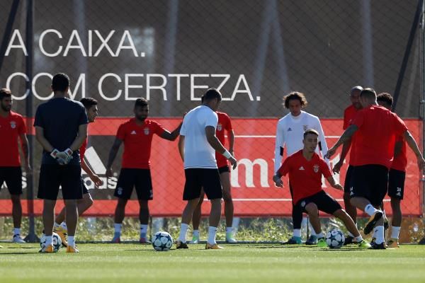 تدريبات بنفيكا اليوم