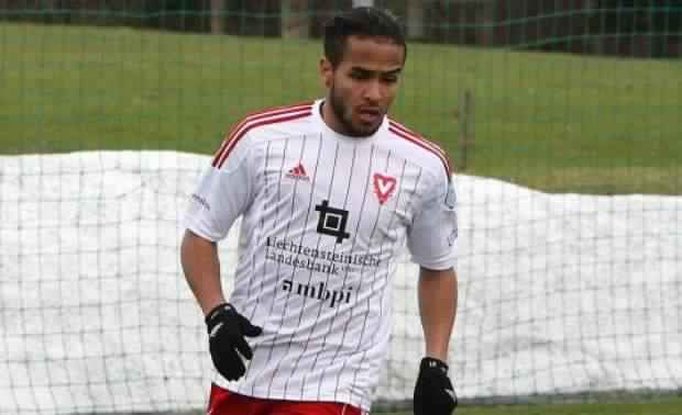 أمين تيغزوي