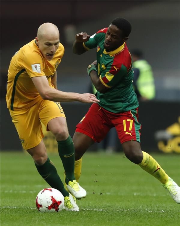 أرنادو دجوم