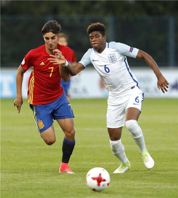  فيران توريس