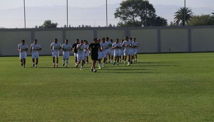 المنتخب الجزائري