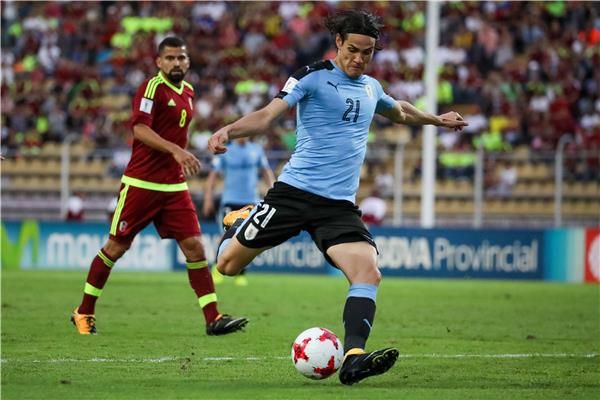  إدينسون كافاني