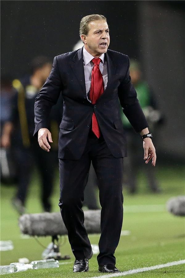 أيمن الحكيم