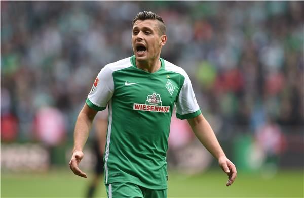 زلاتكو يونوزوفيتش