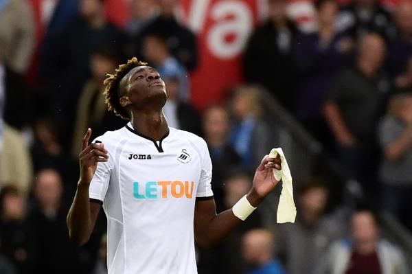  تامي ابراهام 