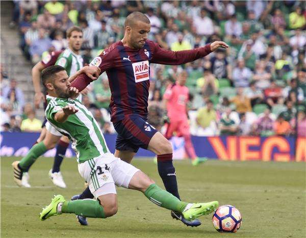 ريزا دورميسي