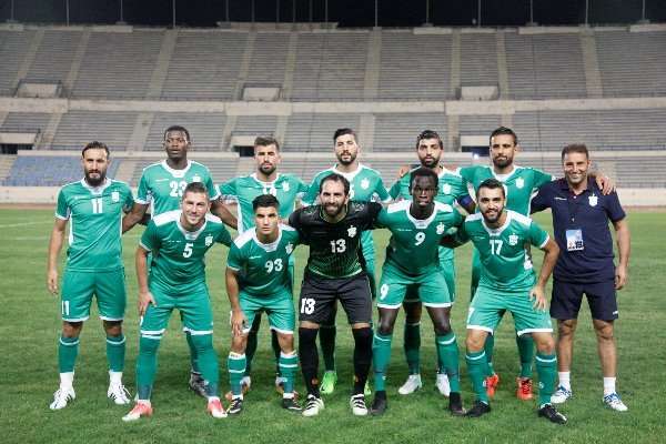 فريق الأنصار