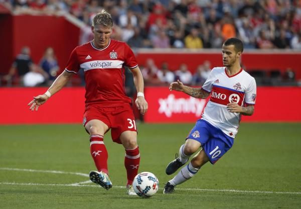 شفاينشتايجر