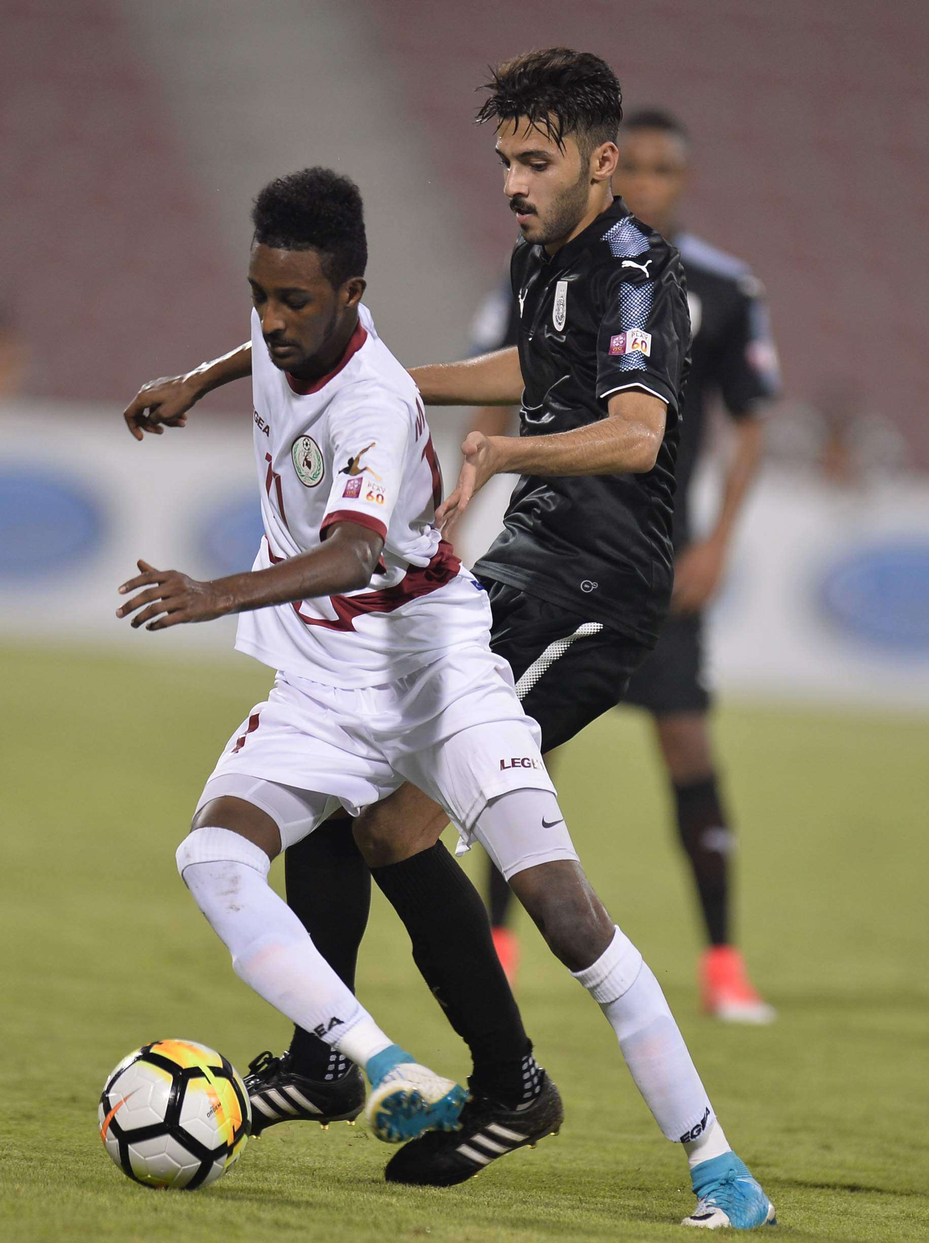 محمد صلاح النيل