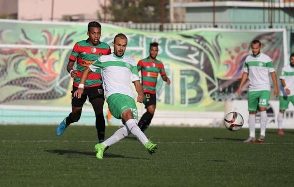 photo_article_articlen-102