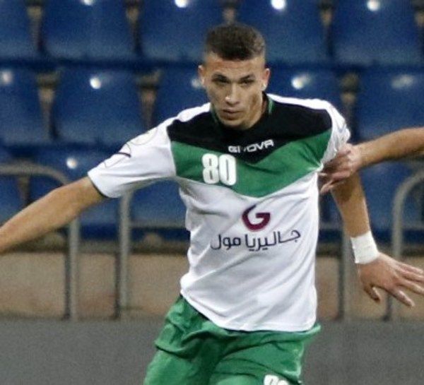 محمود وادي