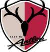 kashima antlers