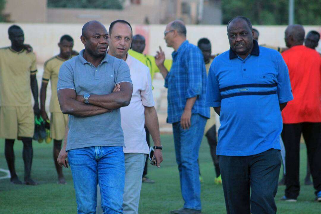 أمونيكي