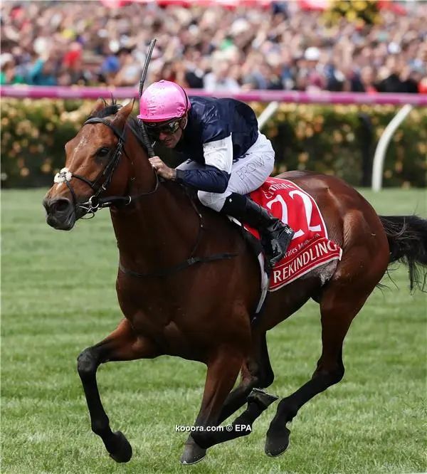 ?i=epa%2fathletics%2f2017-11%2f2017-11-07-06312595_epa