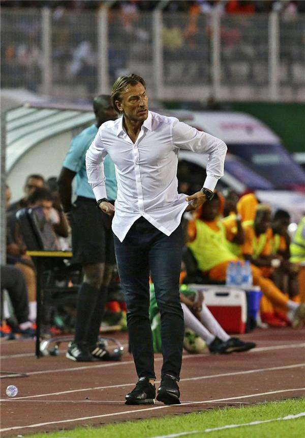  هيرفي رينارد