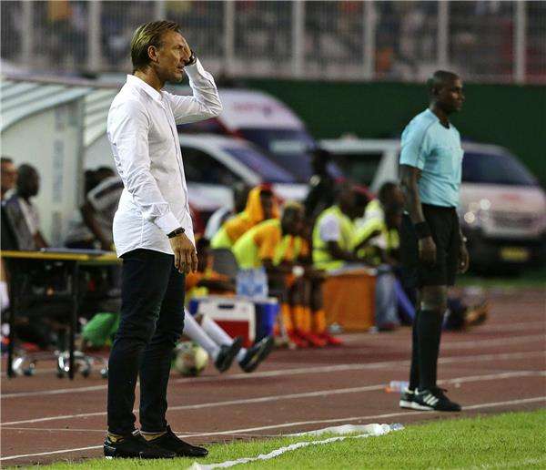 هرفي رينارد