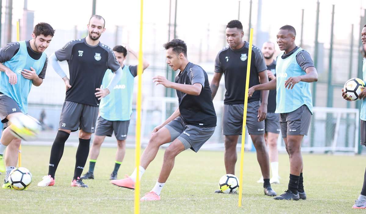 هادي المصري