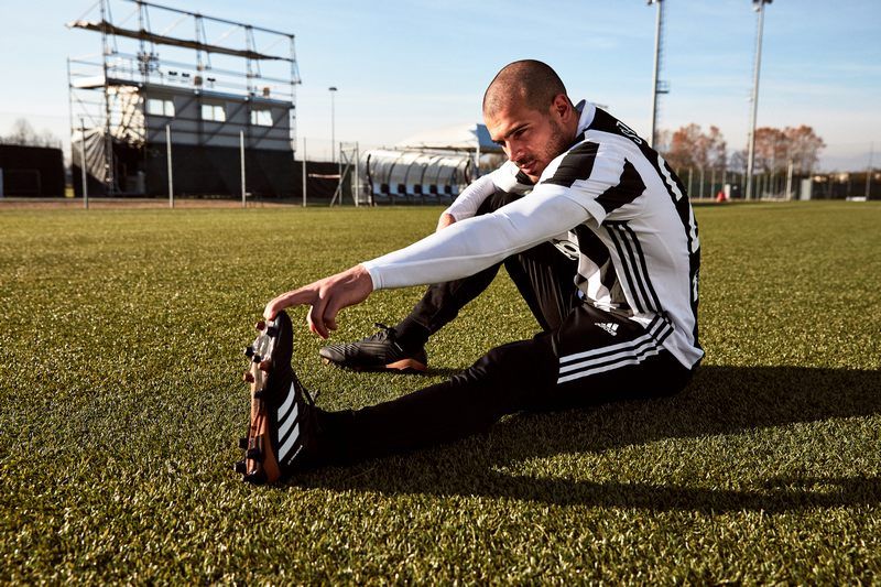 KOO_Sturaro_Predator