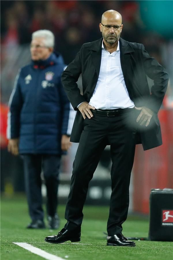 بوس وهاينكس