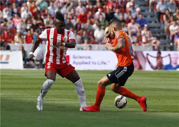 تييفي بيفوما