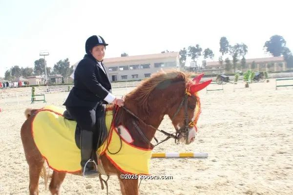 ?i=corr%2f30%2fkoo_30642