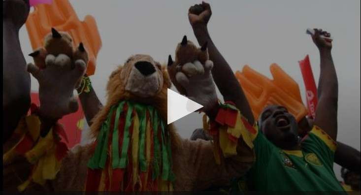 جماهير الكاميرون