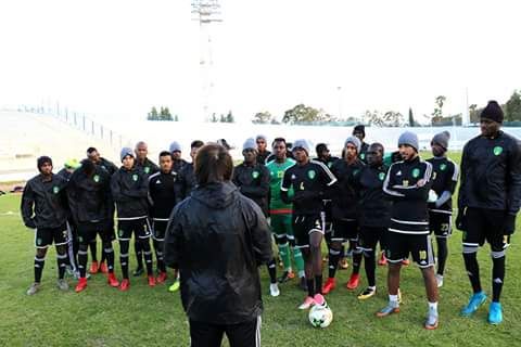 منتخب موريتانيا للمحليين