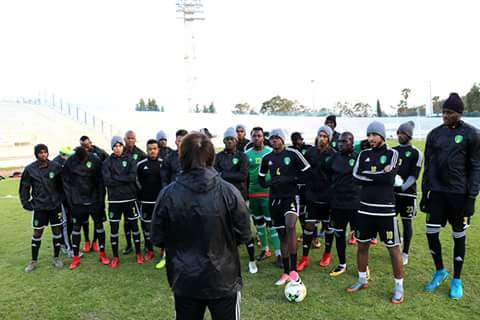 منتخب موريتانيا للمحليين