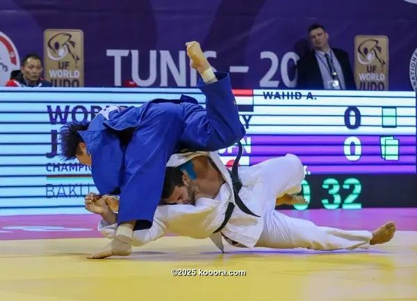 ?i=corr%2f33%2fkoo_33538