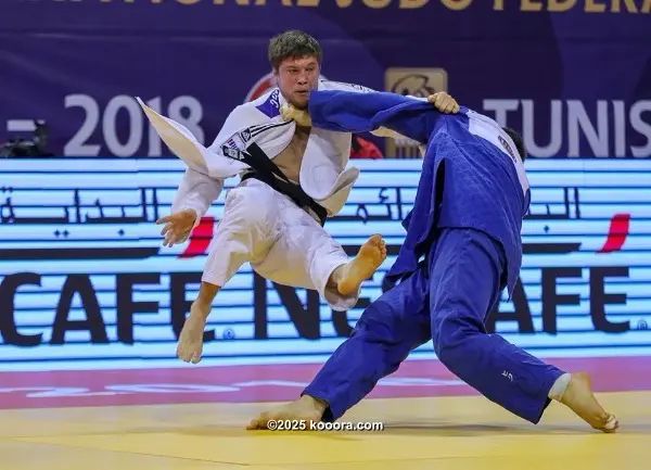 ?i=corr%2f33%2fkoo_33541