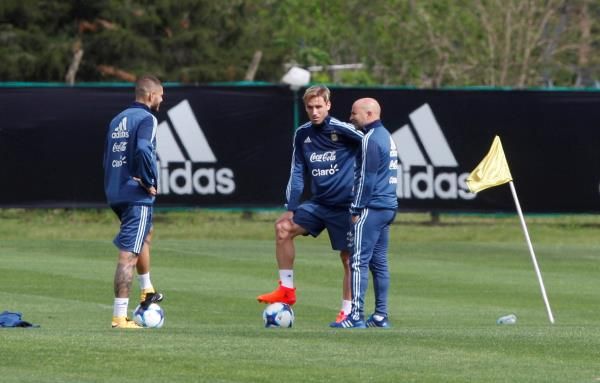 سامباولي وإيكاردي