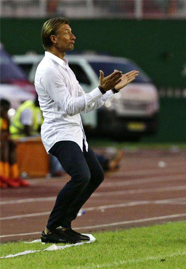 هيرفي رينارد