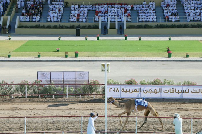 جانب من المهرجان
